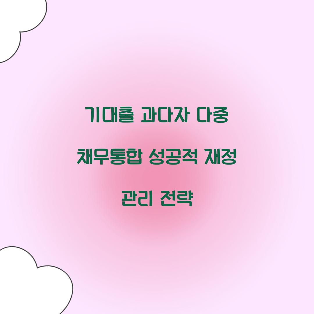 기대출 과다자 다중 채무통합