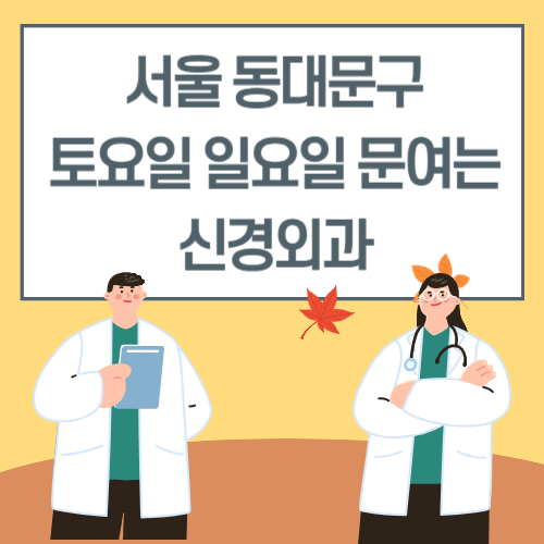 서울 동대문구 토요일 일요일 신경외과 진료 병원 리스트