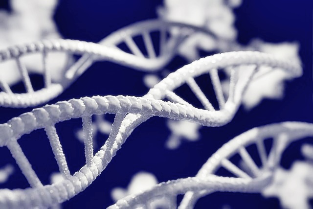 텔레그램 다운로드 방법