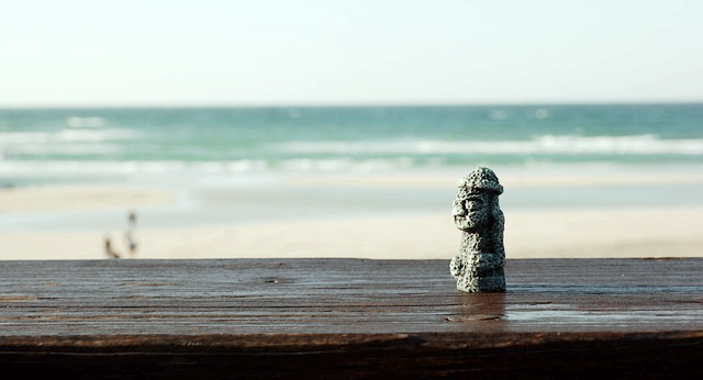 제주도 겨울캠핑관련사진