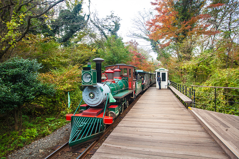 곶자왈에 있는 에코랜드의 열차_Photo by Kim Sunghwan(Artageo)