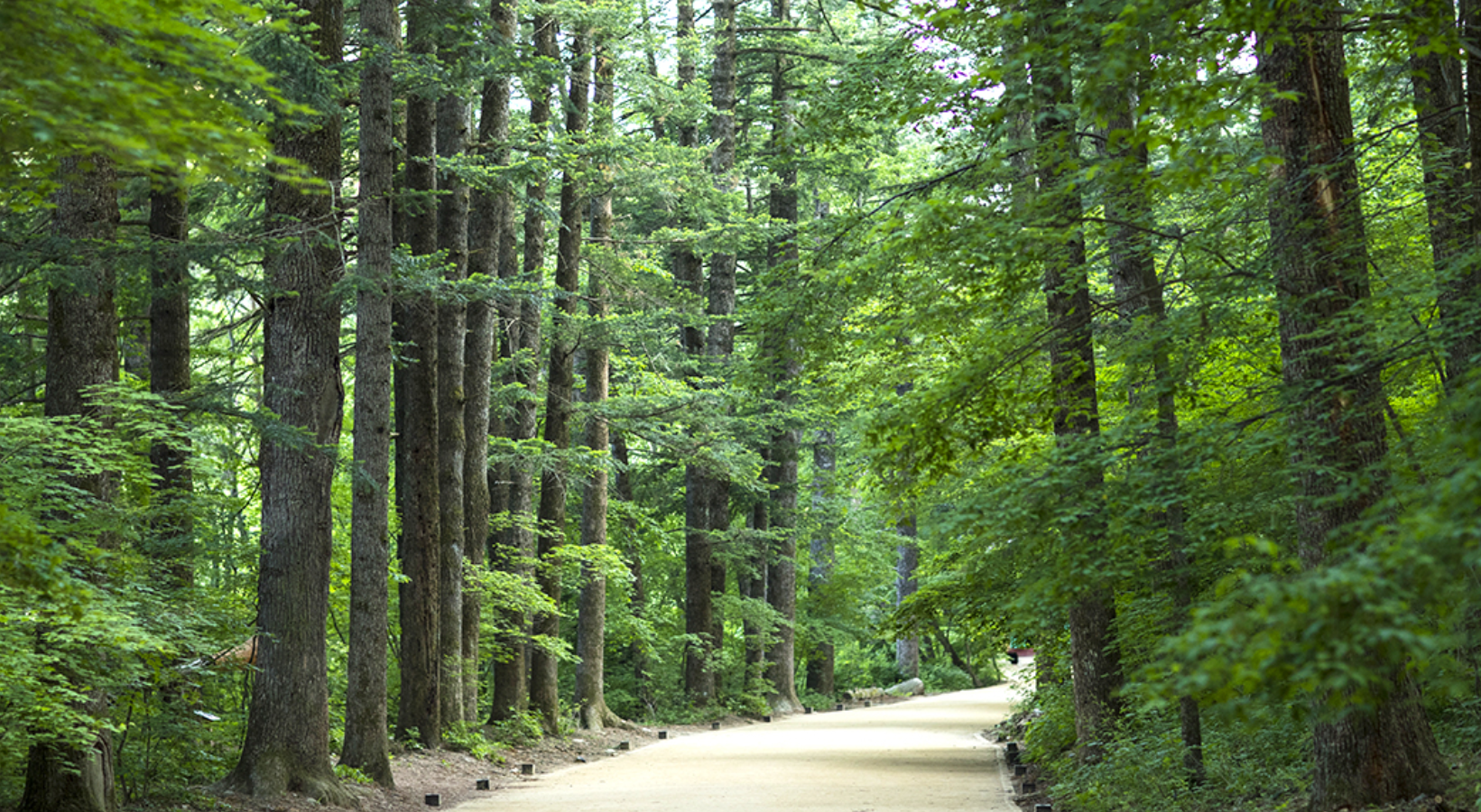 평창 가볼만한곳 베스트10