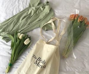초록색 감성사진