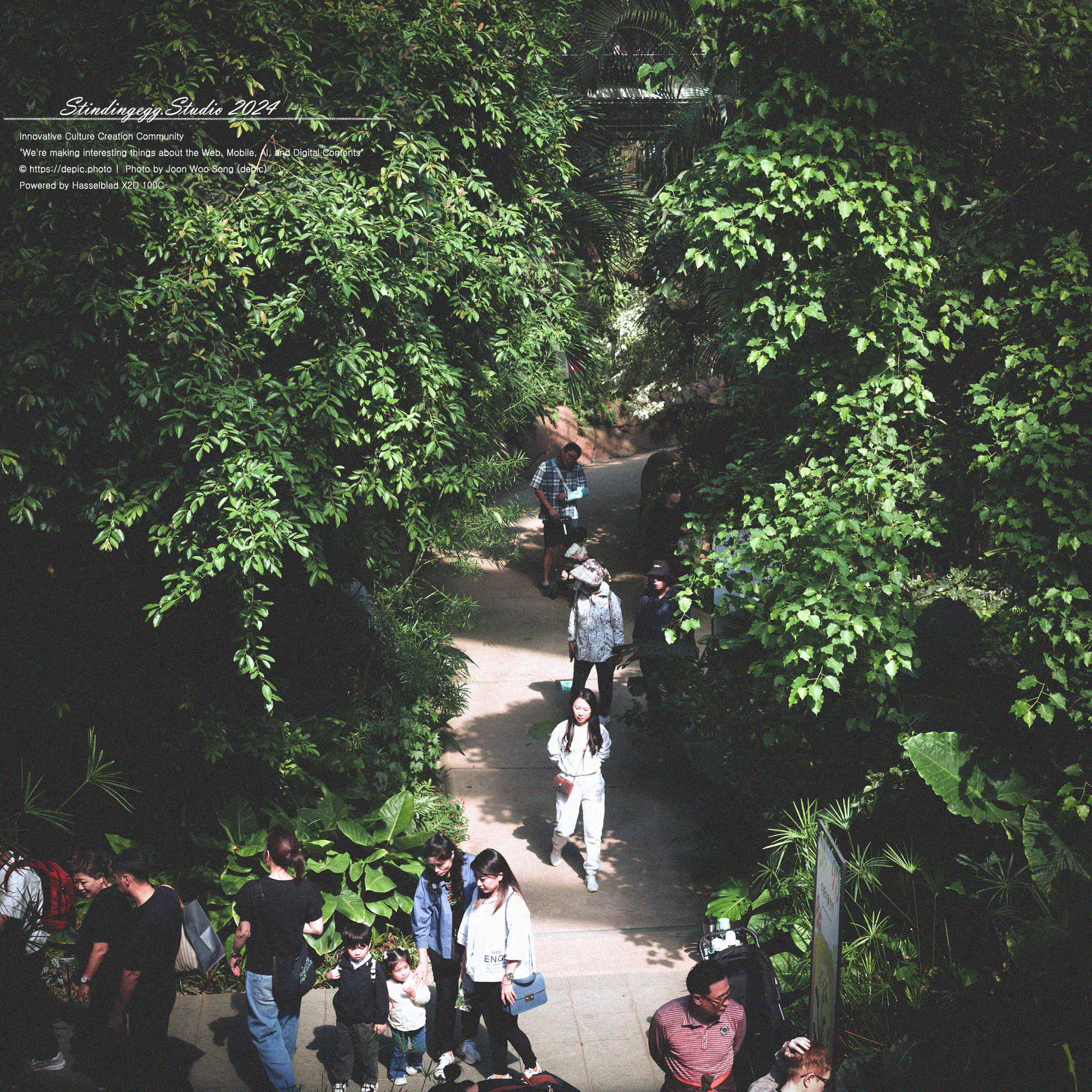 #서울 #식물원 #서울식물원 #꽃