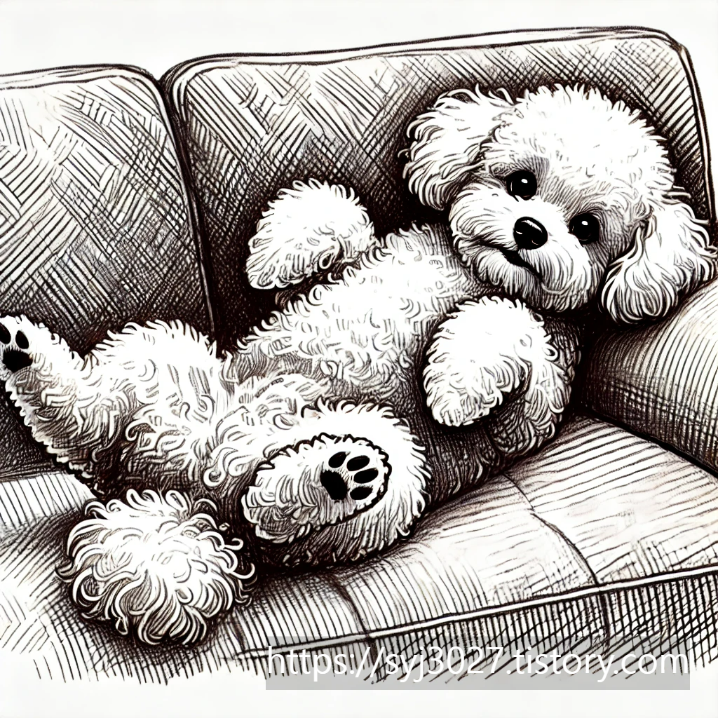 Alt 속성 문제 해결 설명 이미지