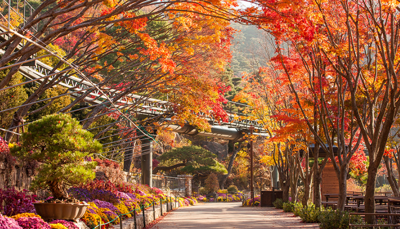 단풍 절정 명소 화담숲 국립공원 예약하기