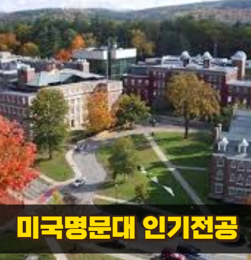 미국 명문대 인기 전공