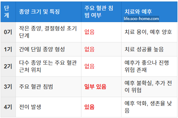 간암의 진행 단계