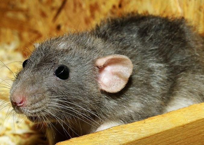 띠별 운세 10월 27일