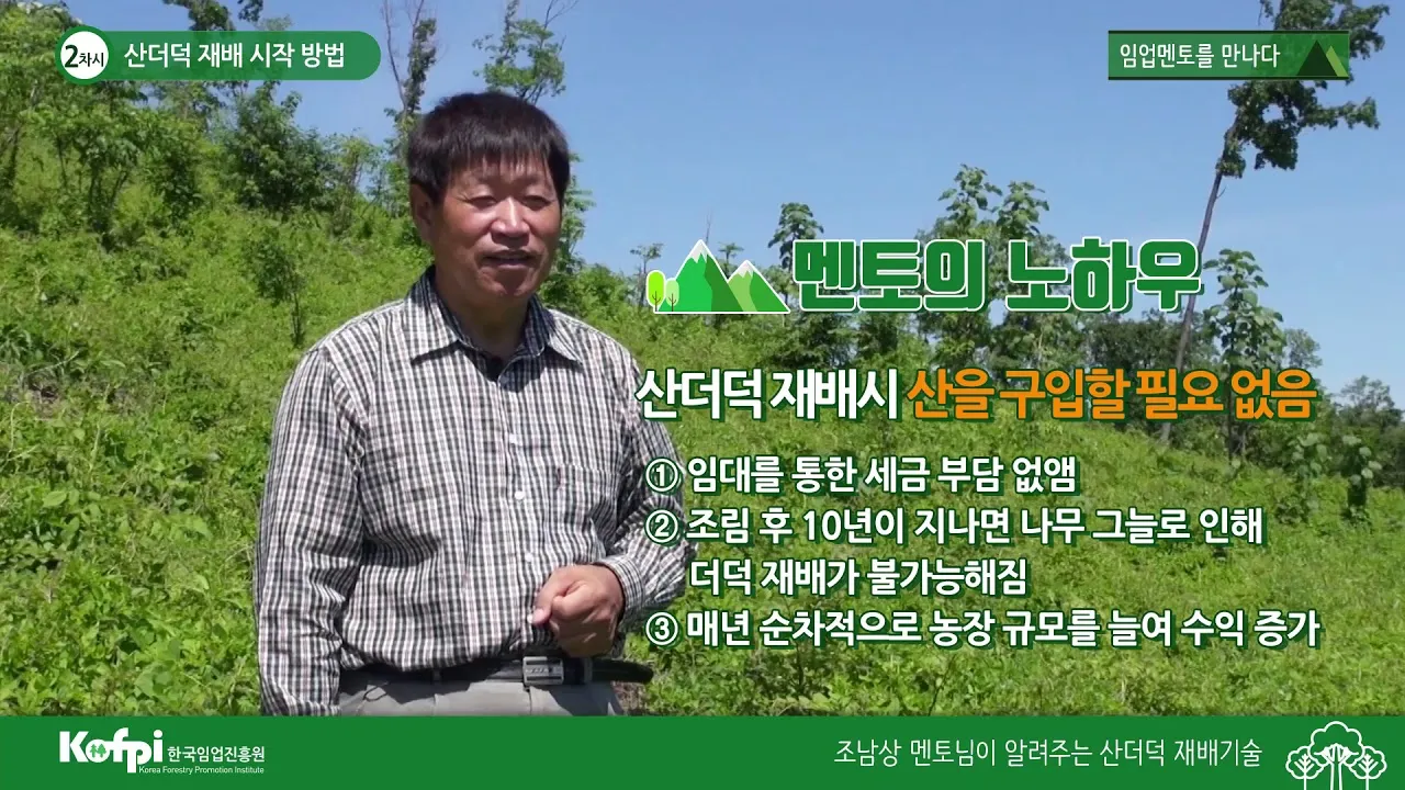 더덕 재배 그늘 재배 토심 확보 줄기 관리_5