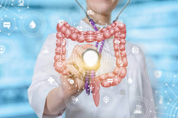 장 건강을 위한 맞춤형 음식 선택법