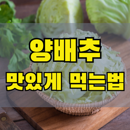 양배추 맛있게 먹는 법