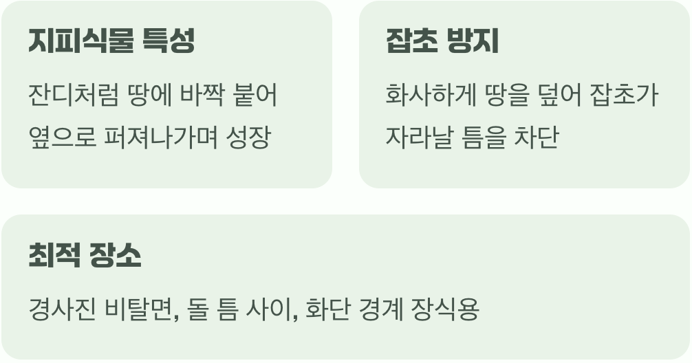 1. 땅을 덮는 핑크 융단, 최고의 장소는?