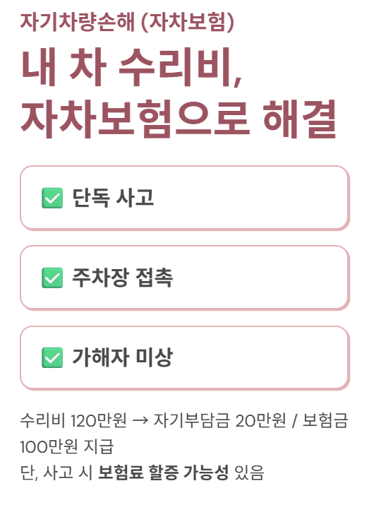 자차 보험으로 해결