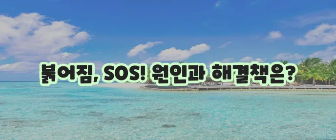 얼굴 붉어짐 더 이상 방치할 수 없습니다!