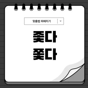 좇다 쫓다 맞춤법 맞는 표현 예문_10