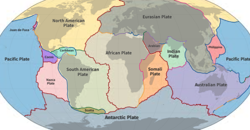 전세계 판 사진