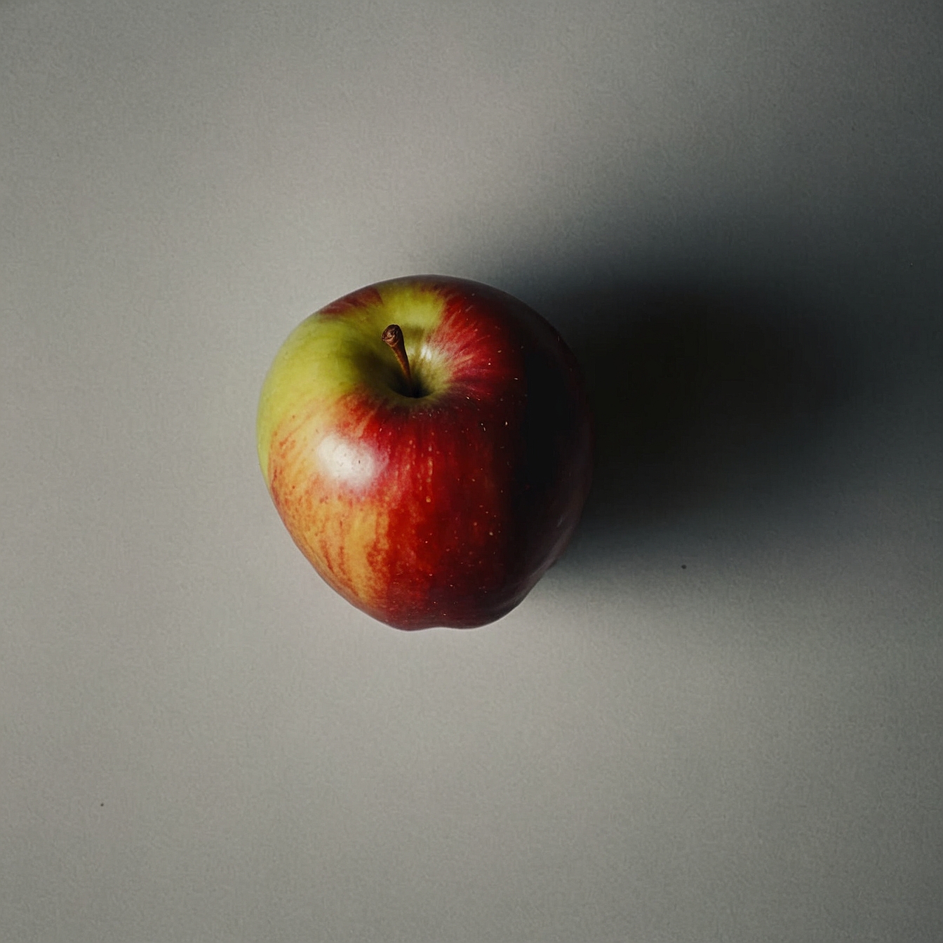 사과-속-우르솔릭산이란