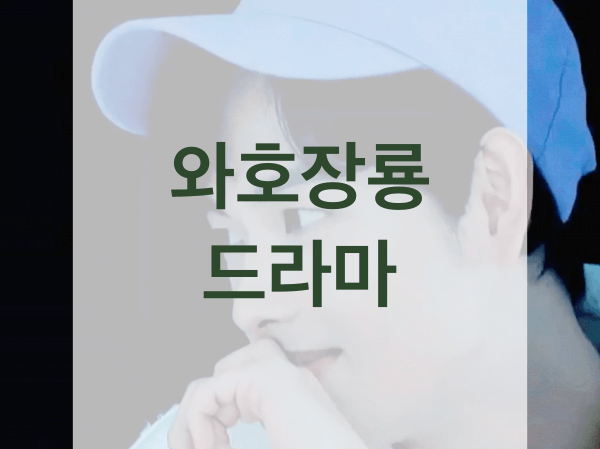 와호장룡-드라마