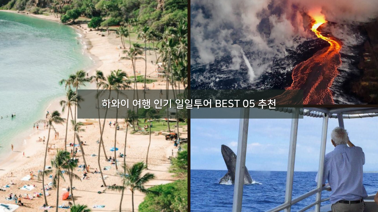 하와이 여행 인기 일일투어 BEST 05 추천 오하우 섬 빅아일랜드 화산투어