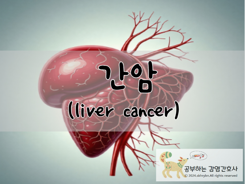 간암(liver cancer)에 대한 이해: 원인과 증상 그리고 생존률