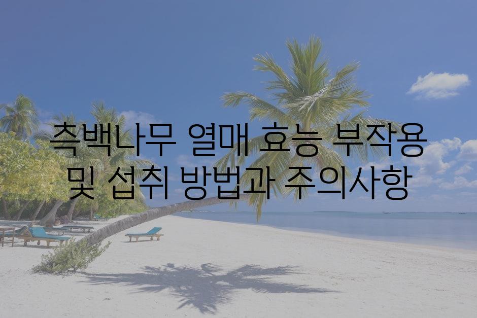 샘플 (79)