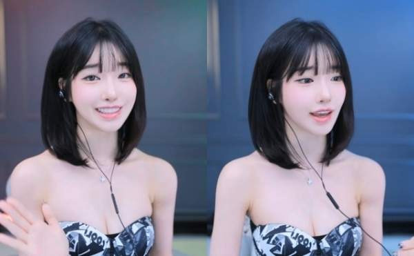 시드물 과즙세연 모델 선정 논란, 10년 '성분 신뢰'를 무너뜨린 마케팅 참사