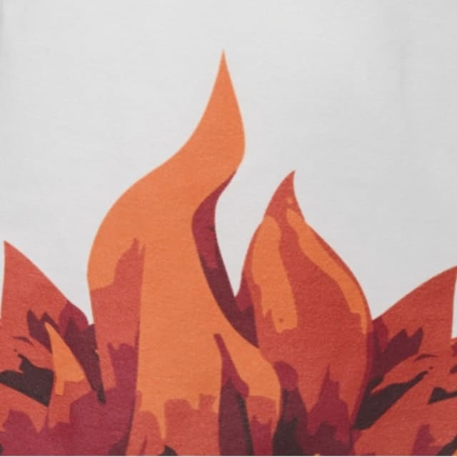 김어준의 더 파워풀 굿즈 불사조 로고 한정판 반팔에 새겨진 불꽃 나염