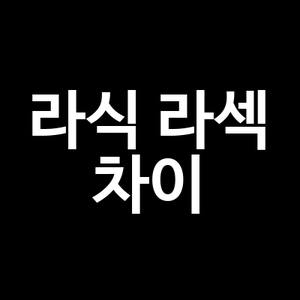 라식 라섹 차이