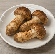 송이버섯 먹는법