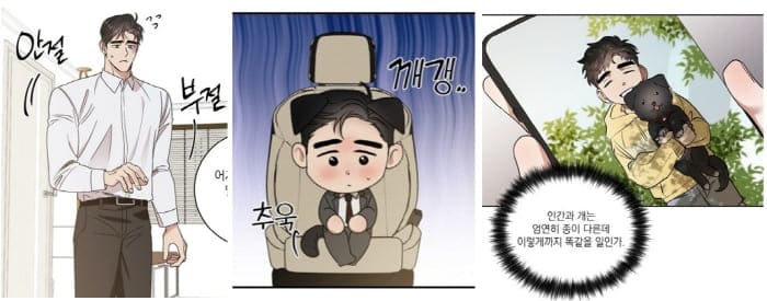 댕댕공인-역공의-강진무