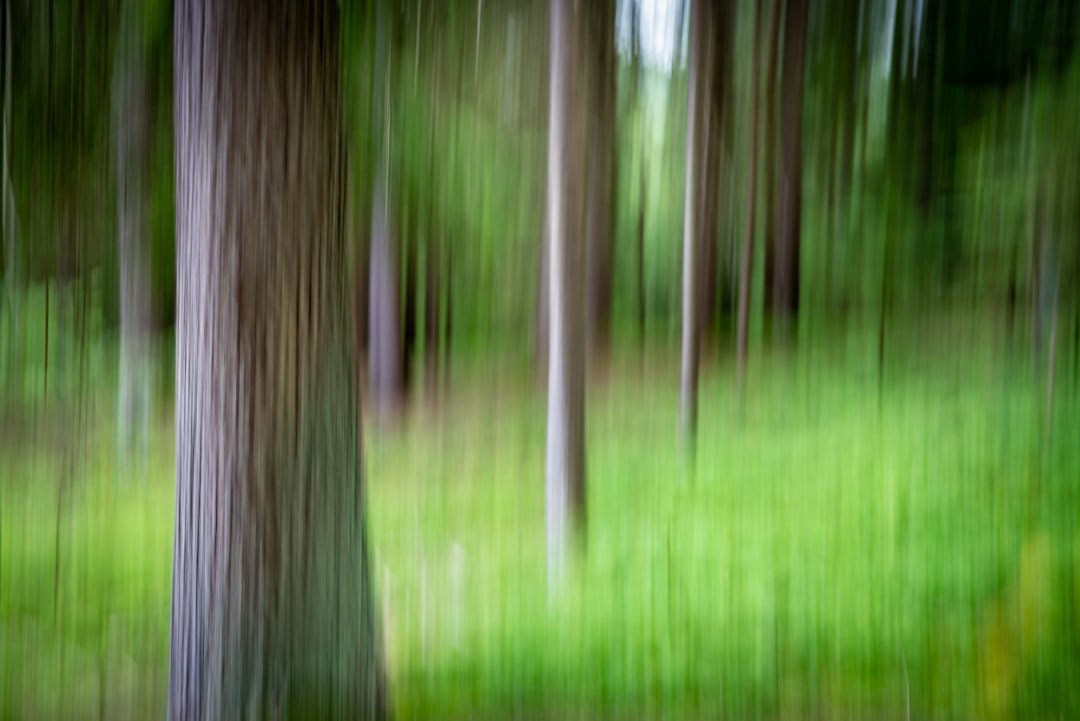 'Moving'