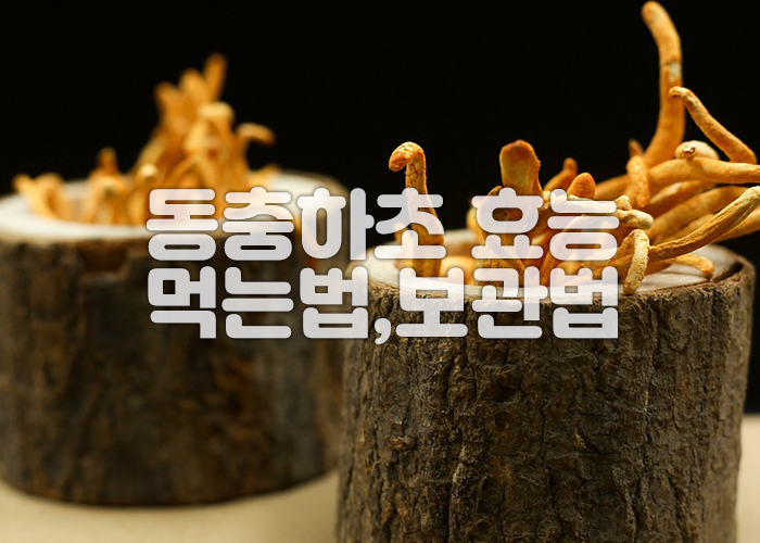 통나무로 만든 그릇에 동충하초가 담겨져 있다