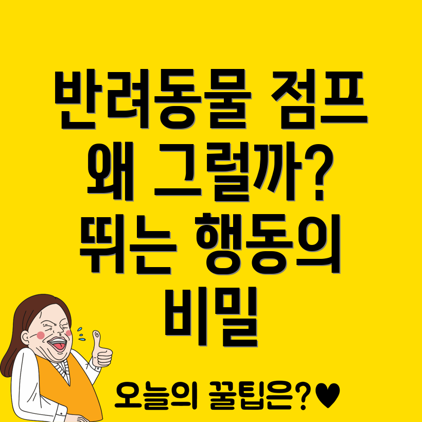 반려동물 점프 행동