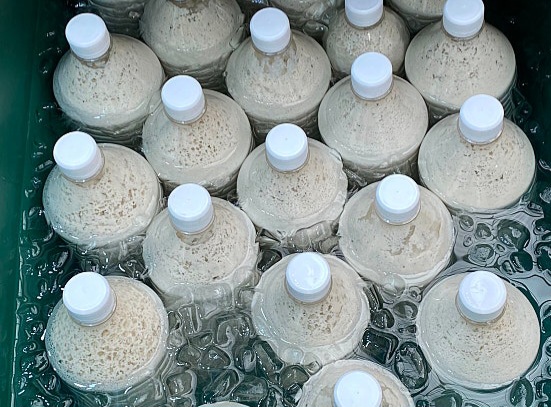 생생정보 5000원 콩국수