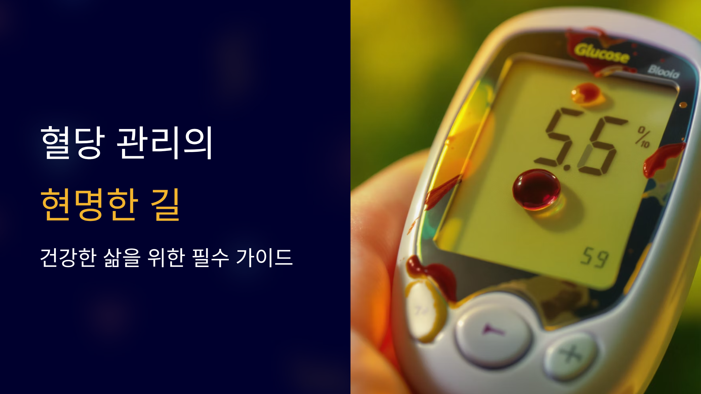 생활 속 혈당 관리법 실천 가이드