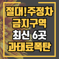 주정차 절대금지구역을 안내합니다.