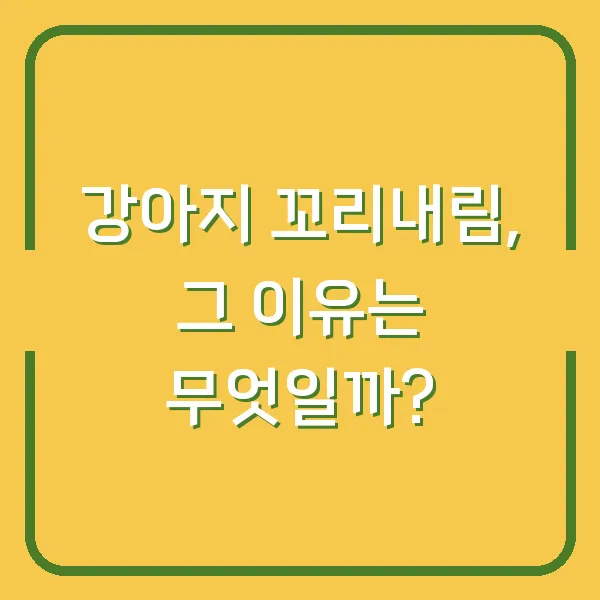 강아지 꼬리내림, 그 이유는 무엇일까?