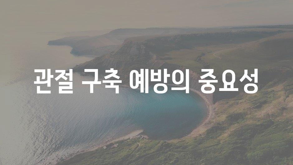 샘플 (11)