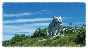 함양대봉산휴양밸리