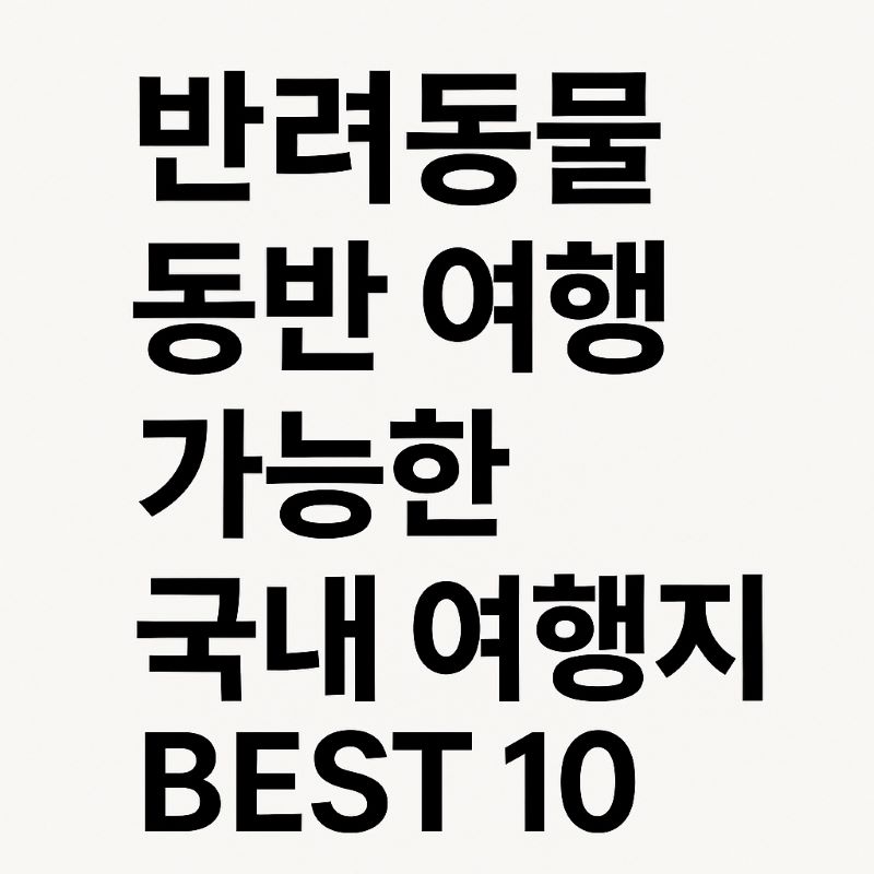 반려동물 동반 여행 가능한 국내 여행지 BEST 10