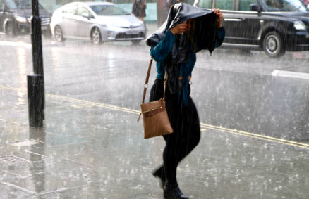 2025년 장기간 및 태풍예보 총정리