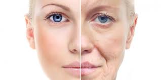 항노화 관련 이미지