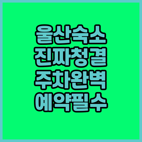 울산 여행 숙소 베스트 5 청결한 객..