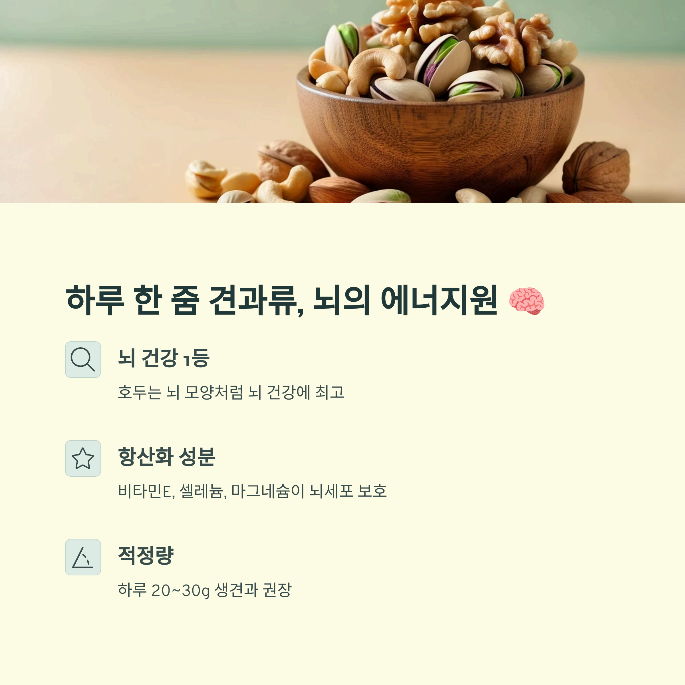 견과류, 뇌의 에너지원