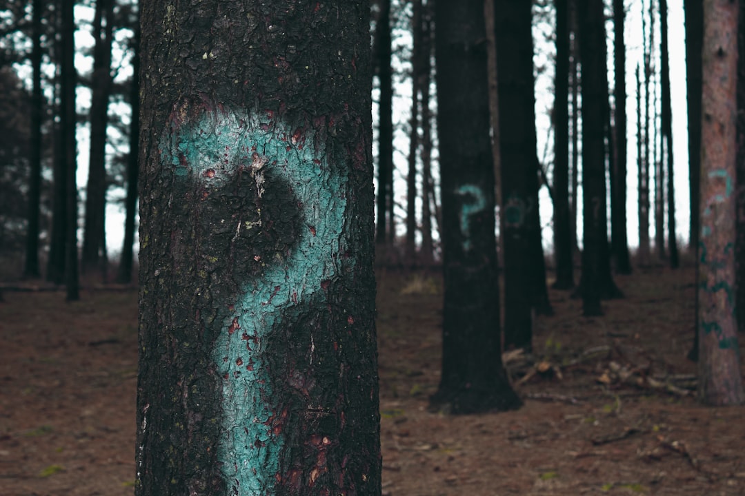 Question