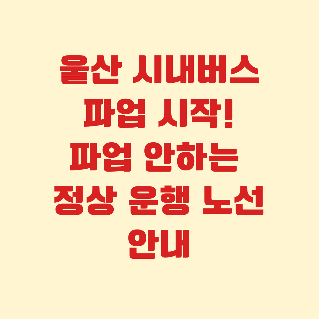 🚨 울산 시내버스 파업 시작! 파업에 참여하지 않는 정상 운행 노선