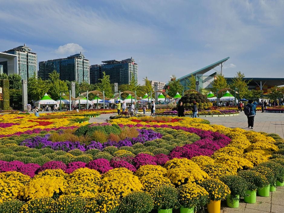고양가을꽃축제