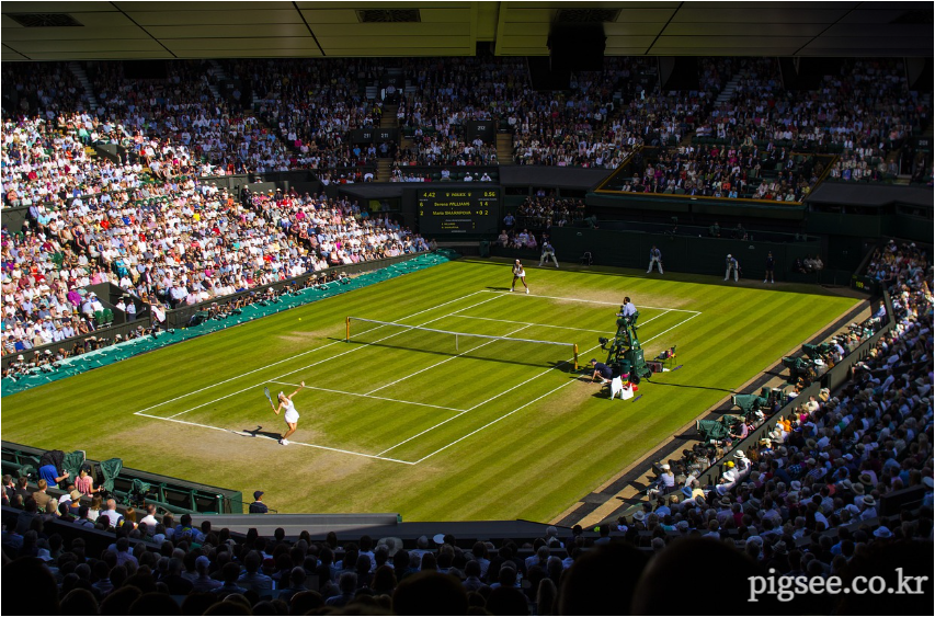 윔블던-테니스-경기