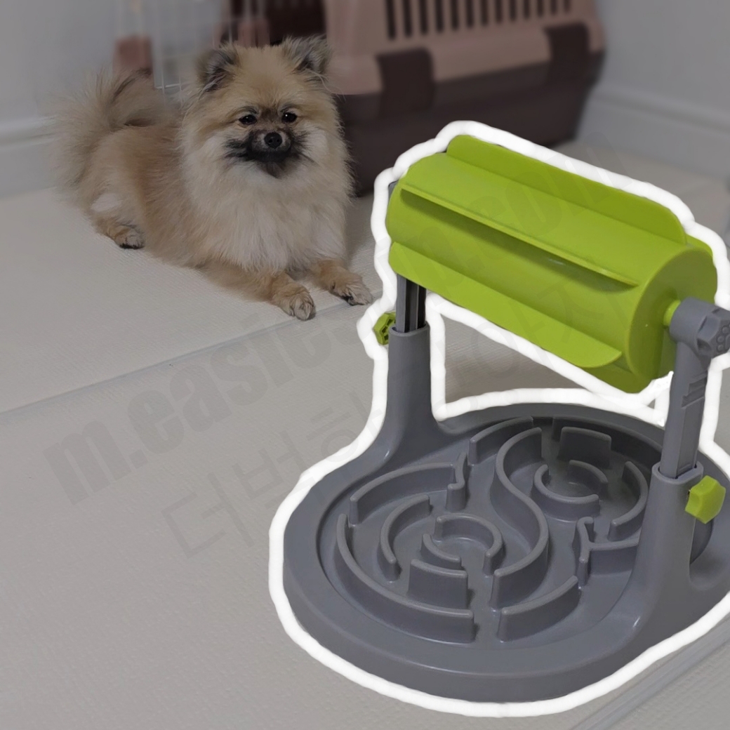 강아지 슬로우 식기 장난감